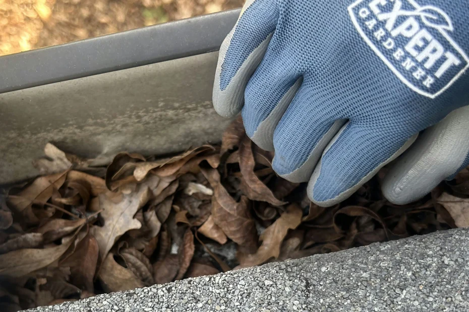 Gutter Cleaning Fairview TX