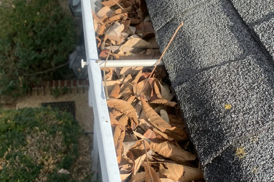 Gutter Cleaning Fairview TX